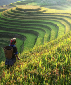 SAPA CULTURAL 2D1N TOUR